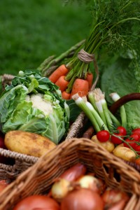 organic fenland food boating trip