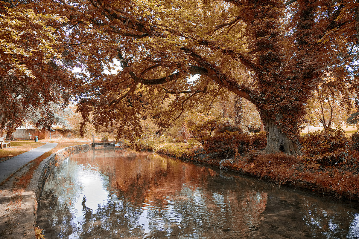 canal autumn