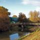 great fen holme