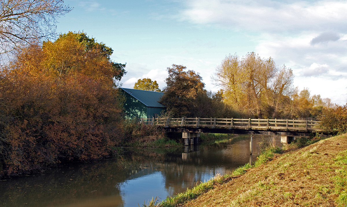 great fen holme