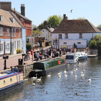 summer narrowboat trip rural fox