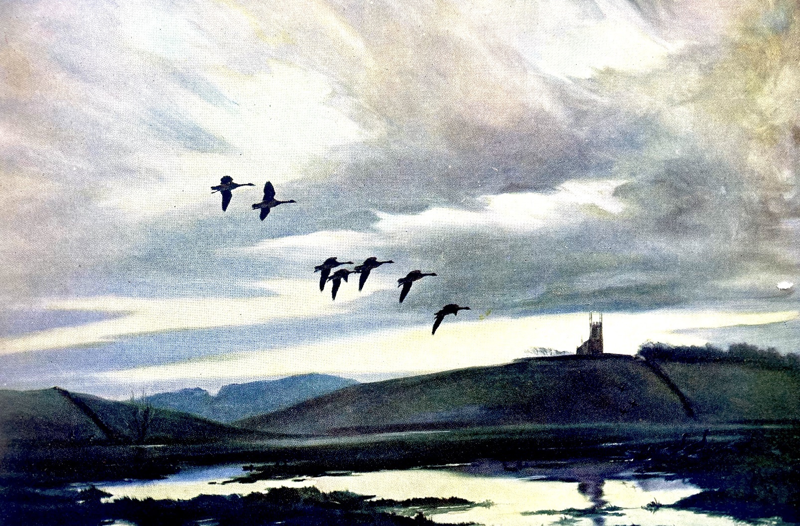 Birds flying