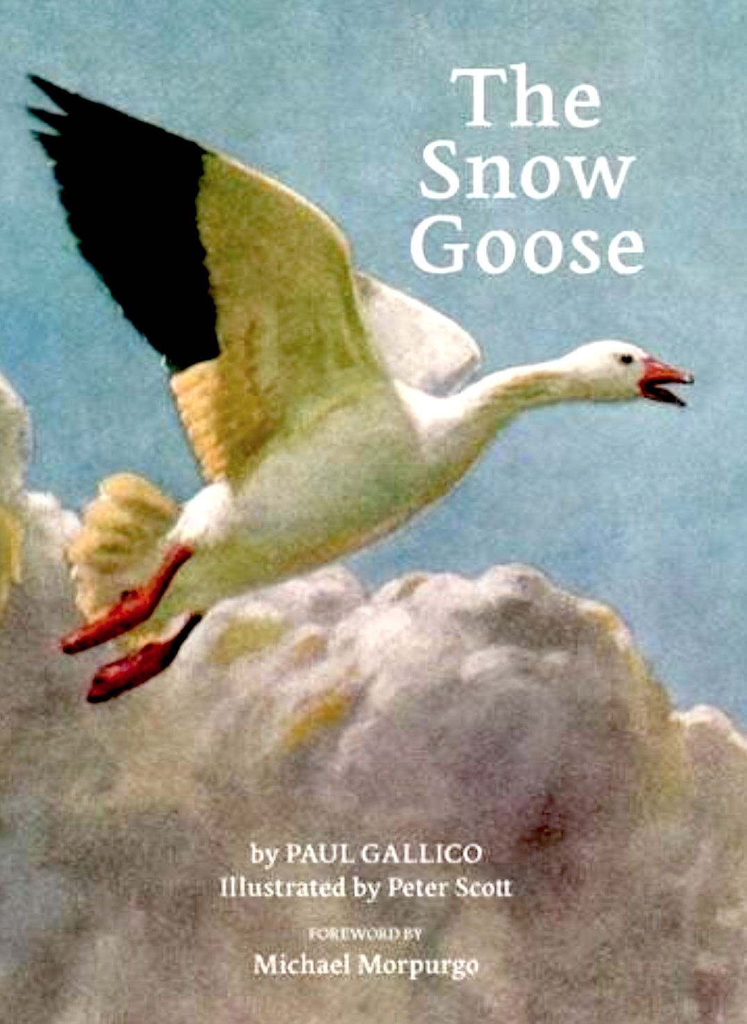 Snow Goose Cover