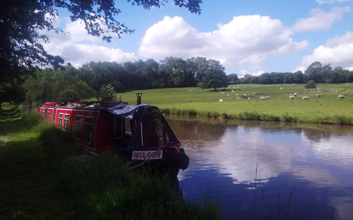 melody narrowboat alice elgie fenland waterways