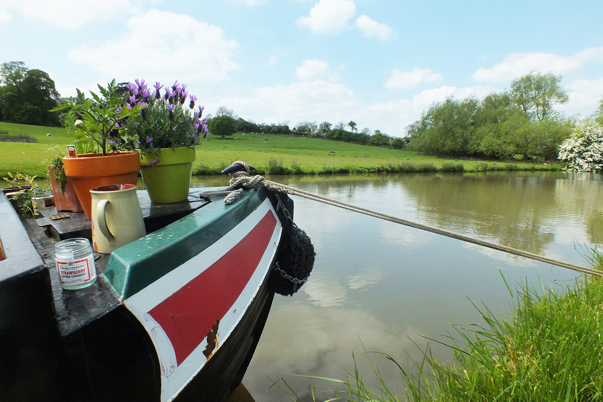 narrowboat pot plants alice elgie