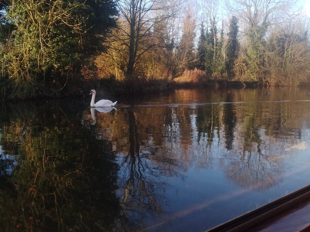 autumn on the water -alice elgie