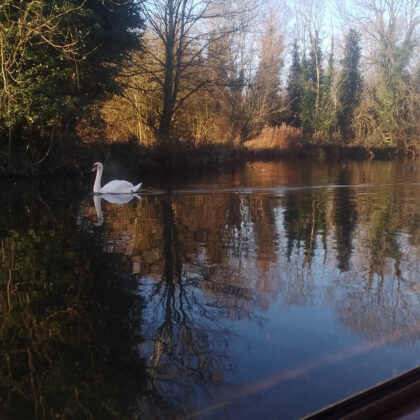 autumn on the water -alice elgie