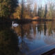 autumn on the water -alice elgie
